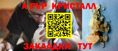шишки Новодвинск