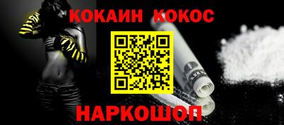 шишки Новодвинск