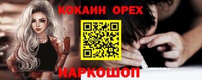 шишки Новодвинск