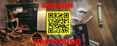 шишки Новодвинск