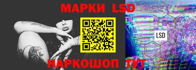 шишки Новодвинск