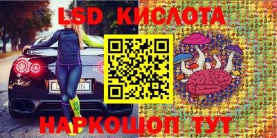 шишки Новодвинск