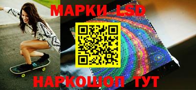 шишки Новодвинск