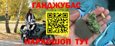 шишки Новодвинск