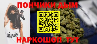 шишки Новодвинск