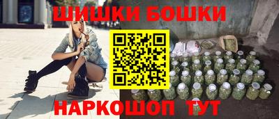 шишки Новодвинск
