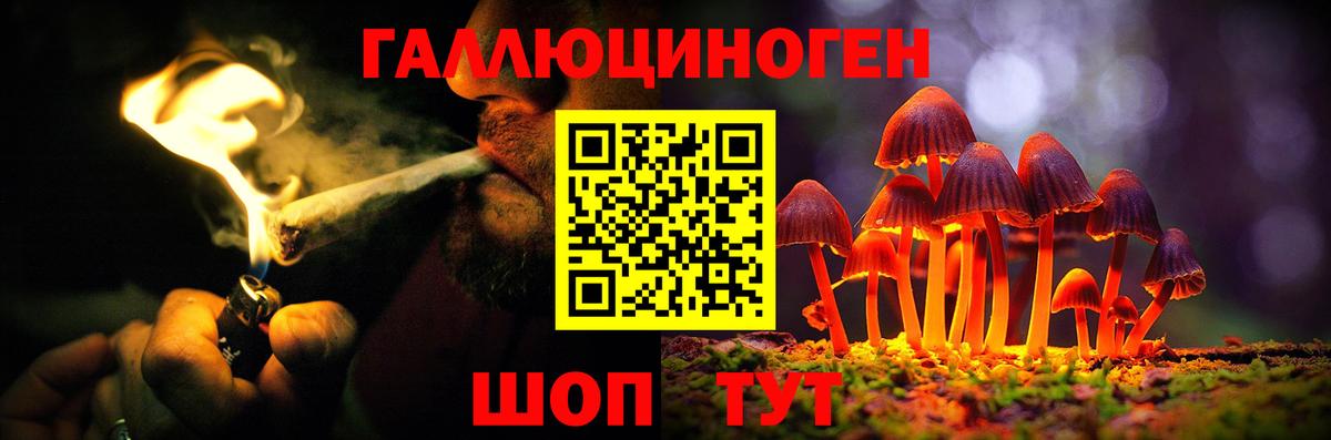 Псилоцибиновые грибы GOLDEN TEACHER  Вход с VPN  Павлово 